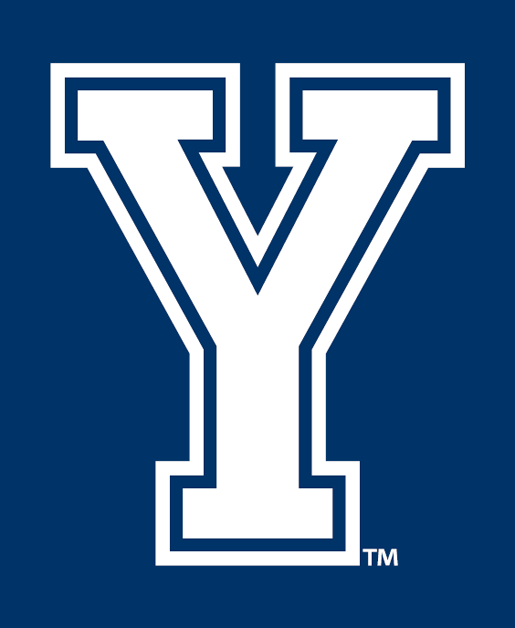 Brigham Young Cougars 2005-Pres Alternate Logo v4 diy fabric transfer